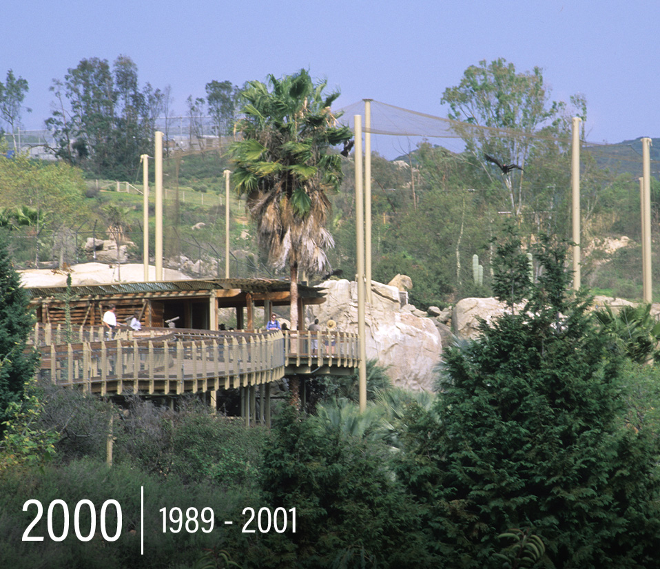 Safari Park 50th Milestone 29