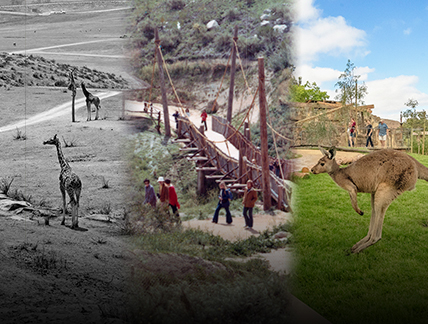 Safari Park images over the years